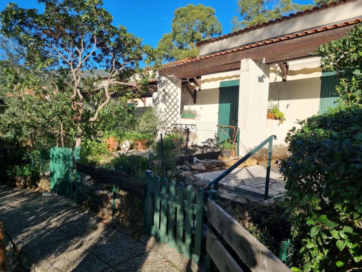 Studio Mas De La Plage By Interhome Cavalaire-sur-Mer Ngoại thất bức ảnh